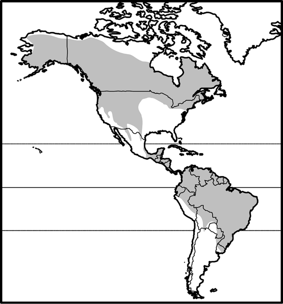 temperate north american forests, tropical forests of central and south america