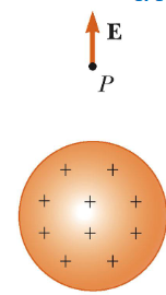 <p>away from the charge</p><ul><li><p>positive source charge repels positive test charge</p></li></ul><p></p>