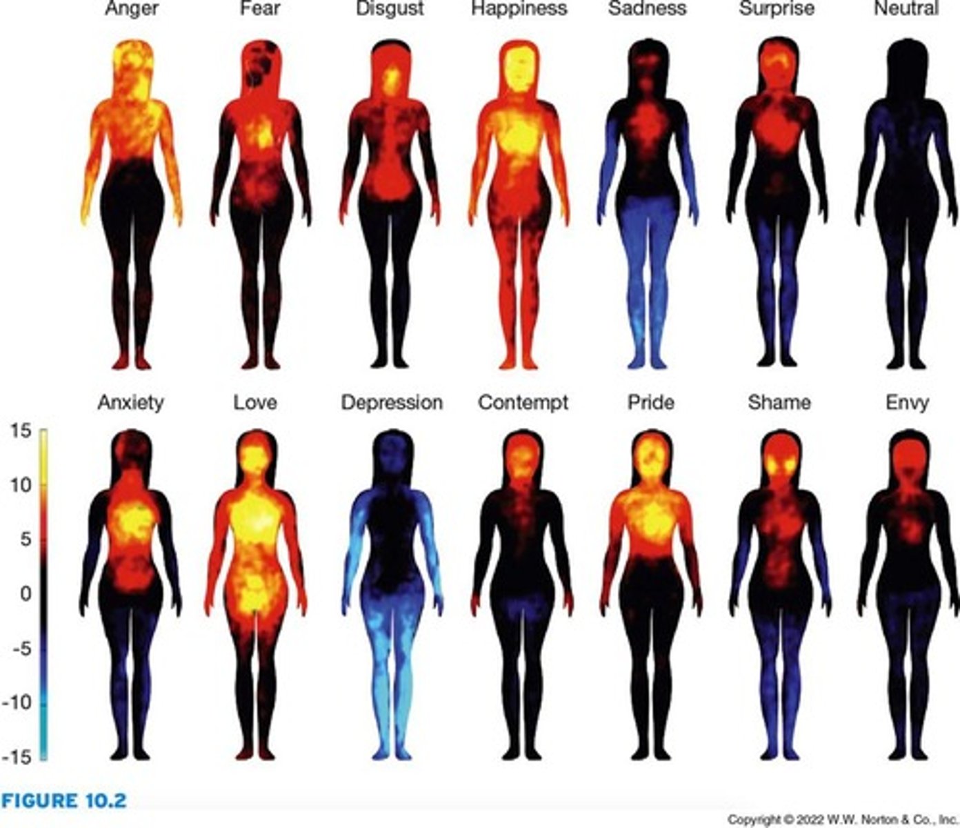<p>internal factors regulated by the autonomic nervous system (e.g., heart rate, perspiration, stomach activity) that influence emotion</p>