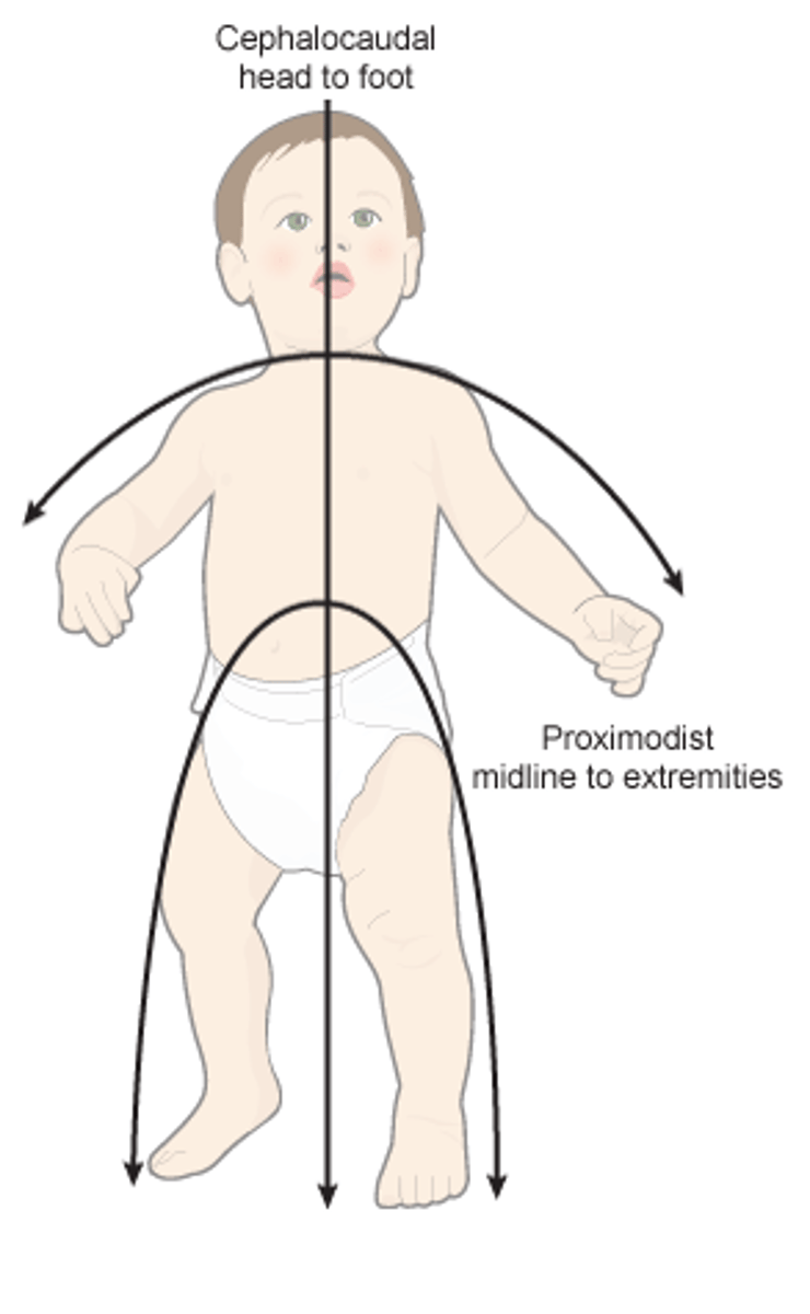 <p>growth proceeds literally from "near to far" - from the center of the body outward. Physical growth and motor skills that proceeds from the center of the body outward</p>