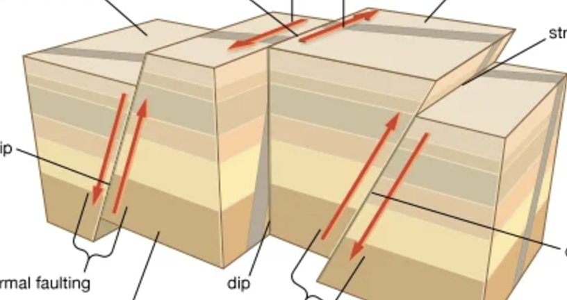 <p>A fracture in rock caused by a movement of Earth’s crust </p>