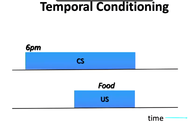 <ul><li><p>CS presented at certain time of day that leads to US</p><ul><li><p>e.g. Whistle is presented at certan time of day that leads to food</p></li></ul></li></ul><p></p>