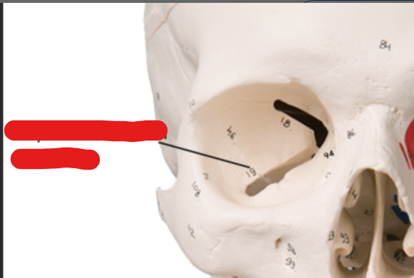 <p>?</p>