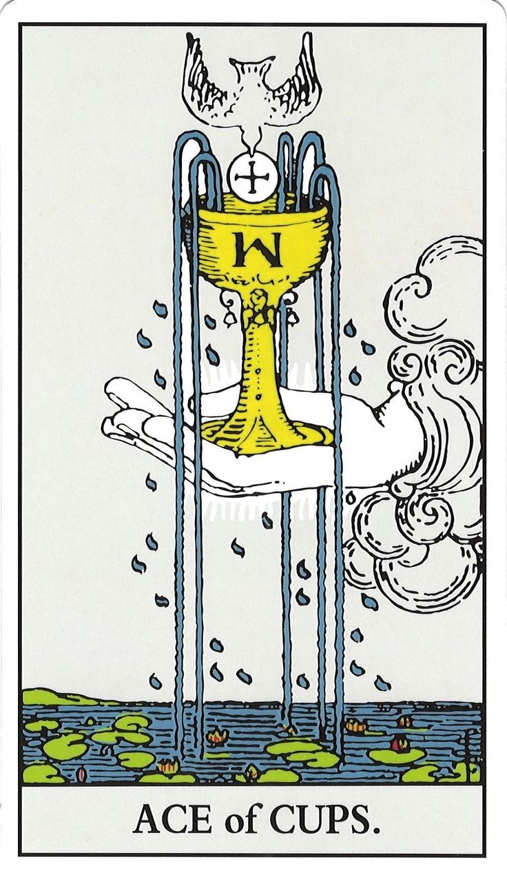 <p>As 💦</p>