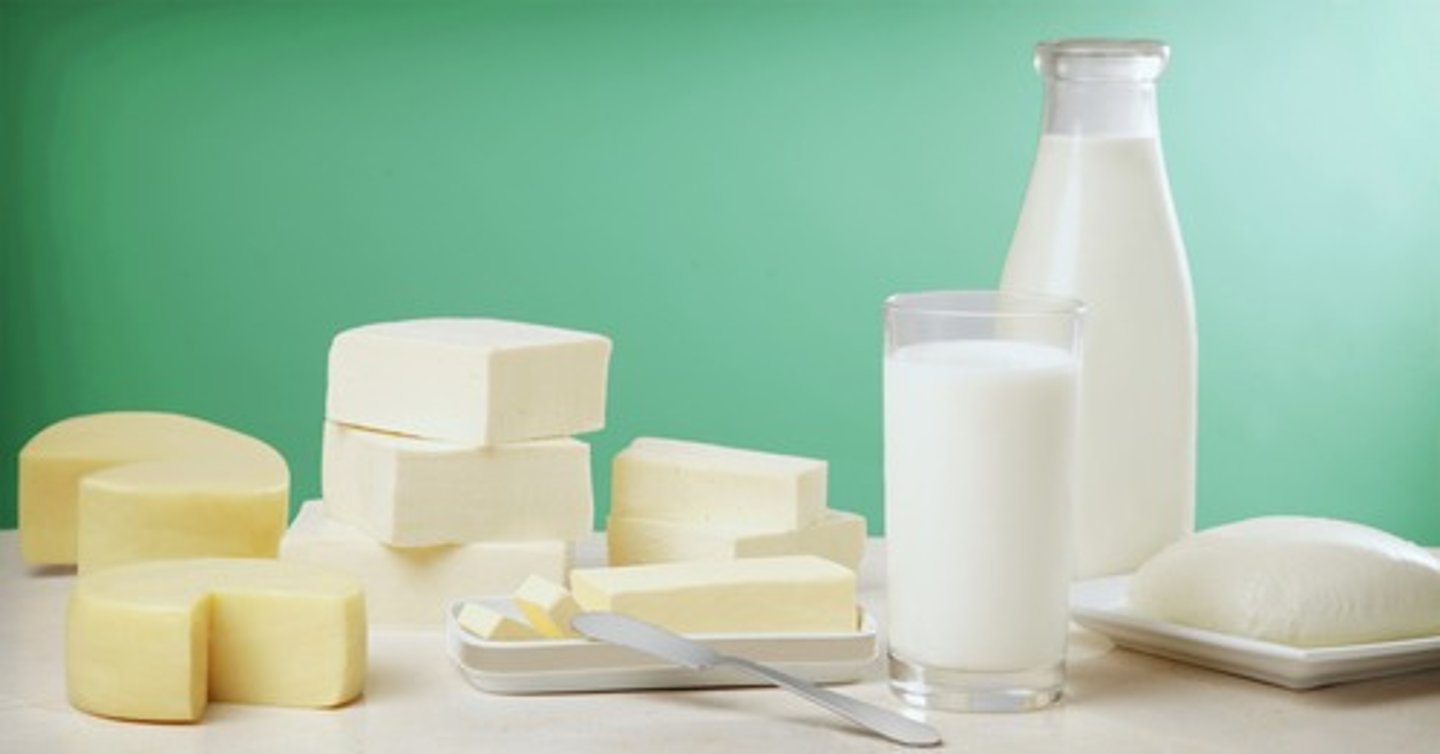 <p>dairy products</p>