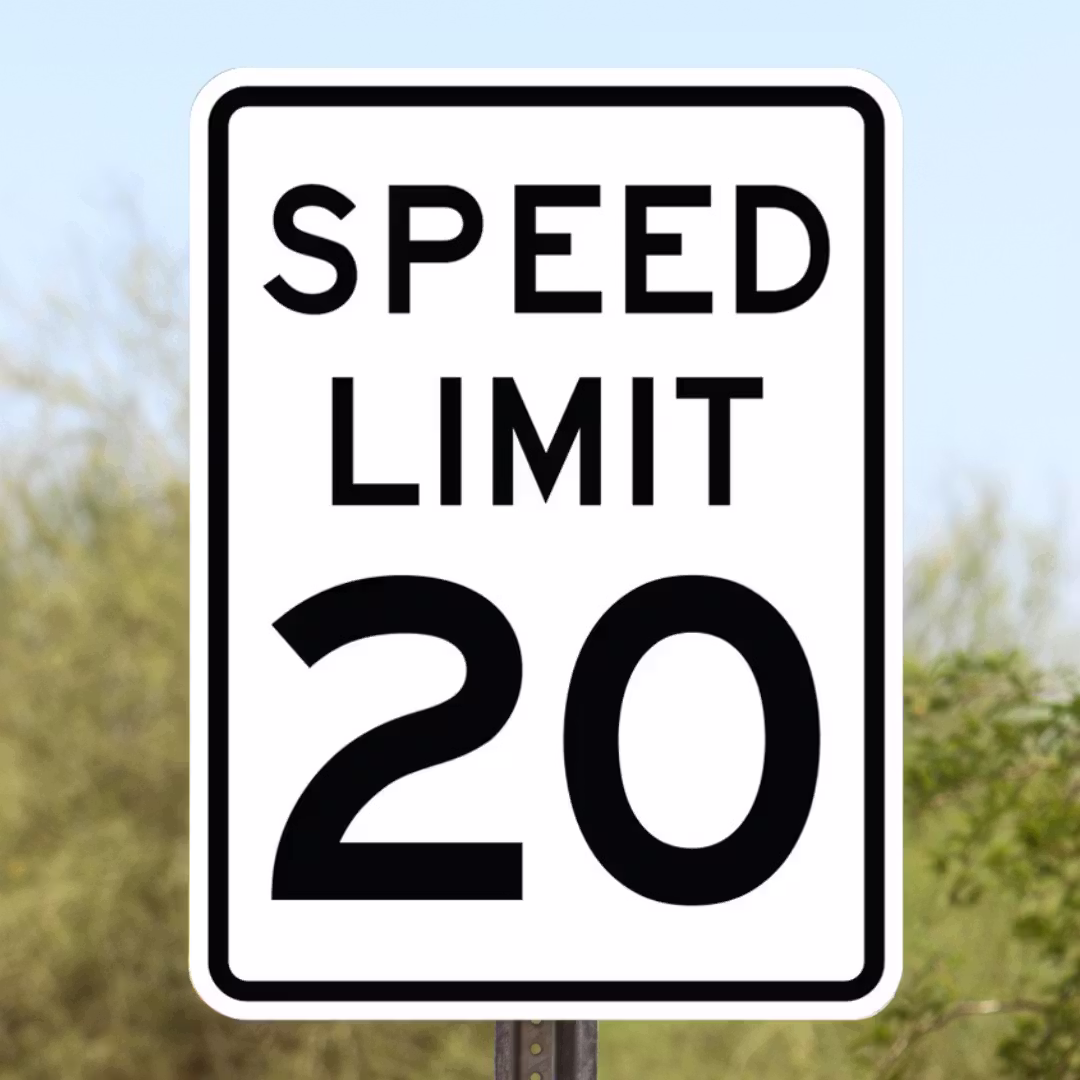 <p><span><span>A speed limit sign is an example of a __________ sign.</span></span></p>