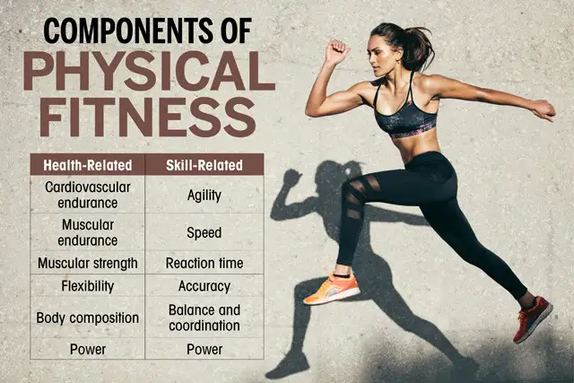<p>Health Related Fitness - a physical state encompassing cardiorespiratory endurance, muscular fitness, muscular flexibility, and bodily composition.</p>