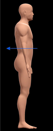 toward the back of the body. opposite of anterior