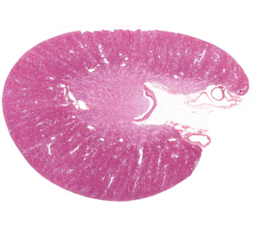 <p>What is this?</p>