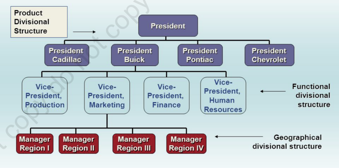<ul><li><p>combines both functional and divisional structure but divides its activities into departments that can be either functional or divisional</p></li><li><p>this allows the utilization of resources and knowledge in each function, while maintaining product specialization in different divisions that makes it widely adopted by many large organizations</p></li></ul><p></p>
