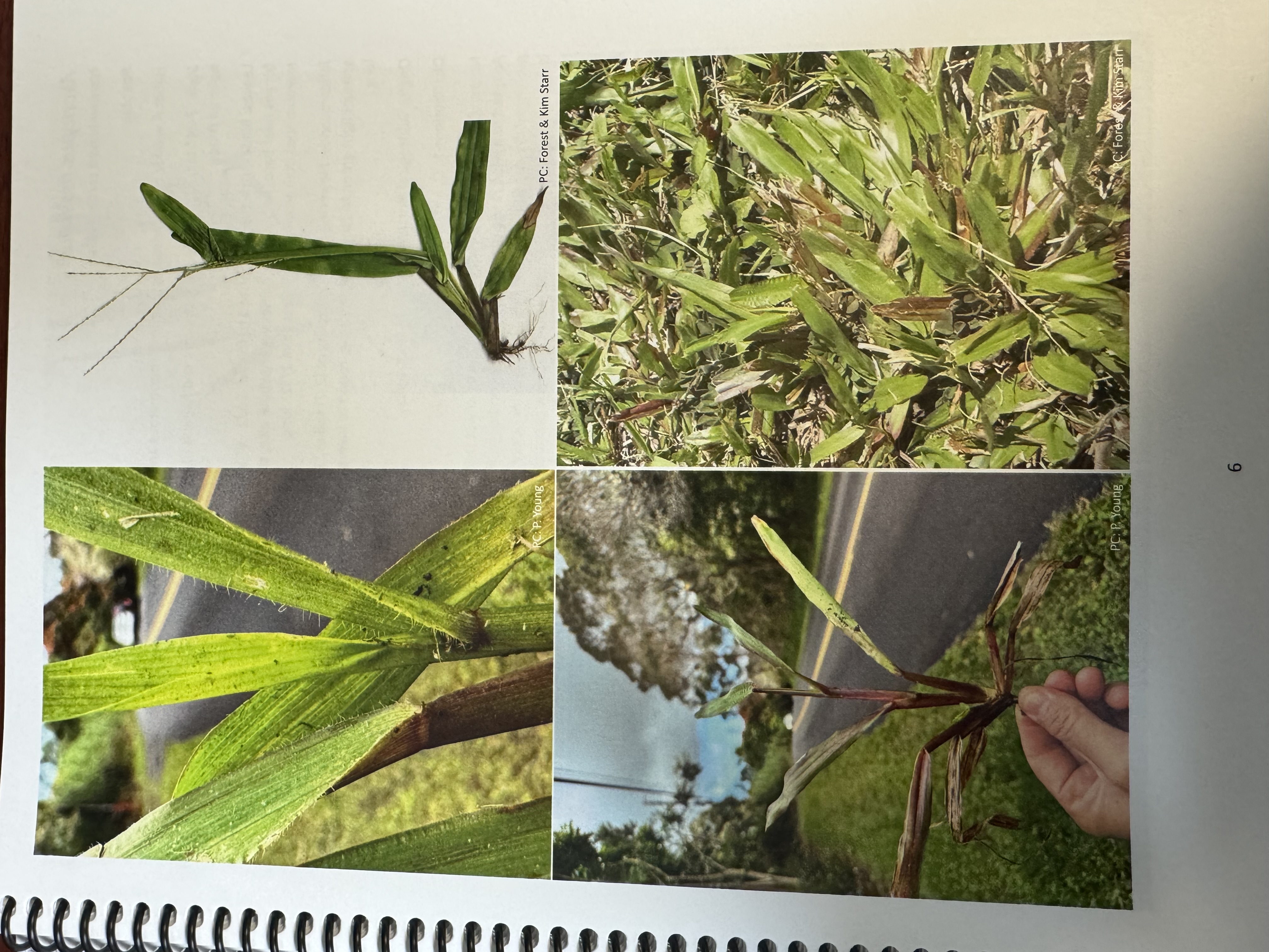 <img src="blob:null/72894e15-cf15-496d-9fee-150dda3f9a20"><p></p>