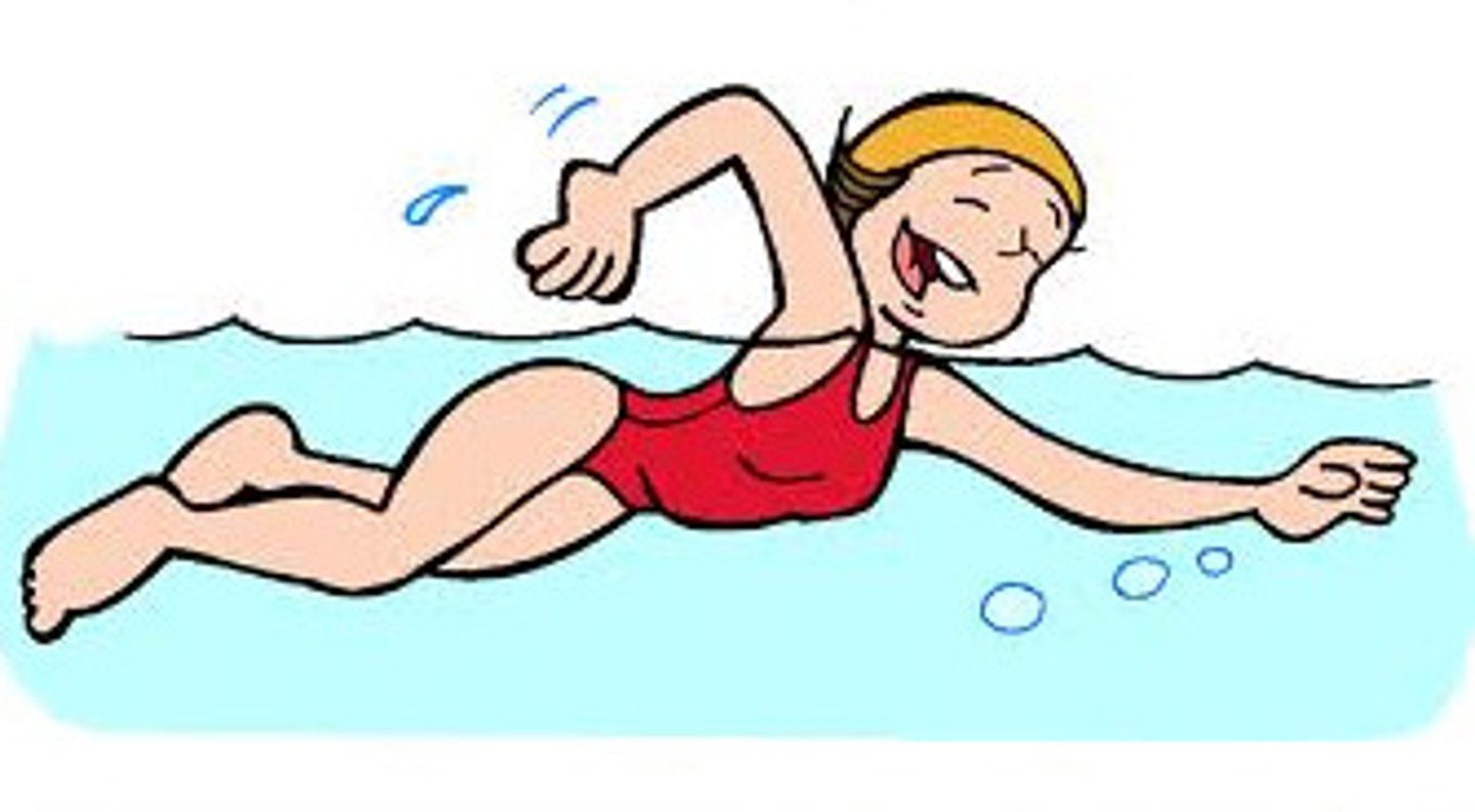 <p>she swam in the beach</p>