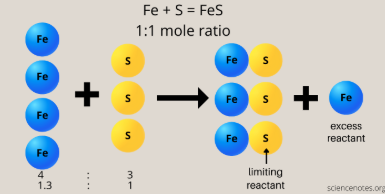 <p>the other reactants present in a chemical reaction aside from the limiting reagent</p>