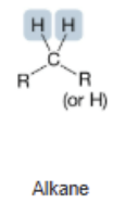 <p>Alkane</p>