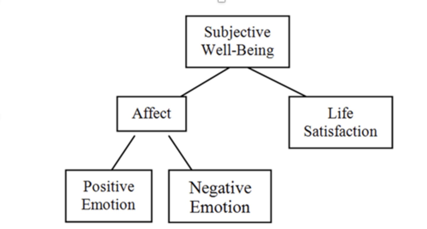 <p>- Affect (happiness)</p><p>- cognition (life satisfaction)</p><p>hedonistic approach</p>
