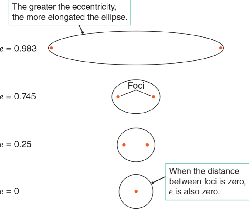 <p>Foci</p>