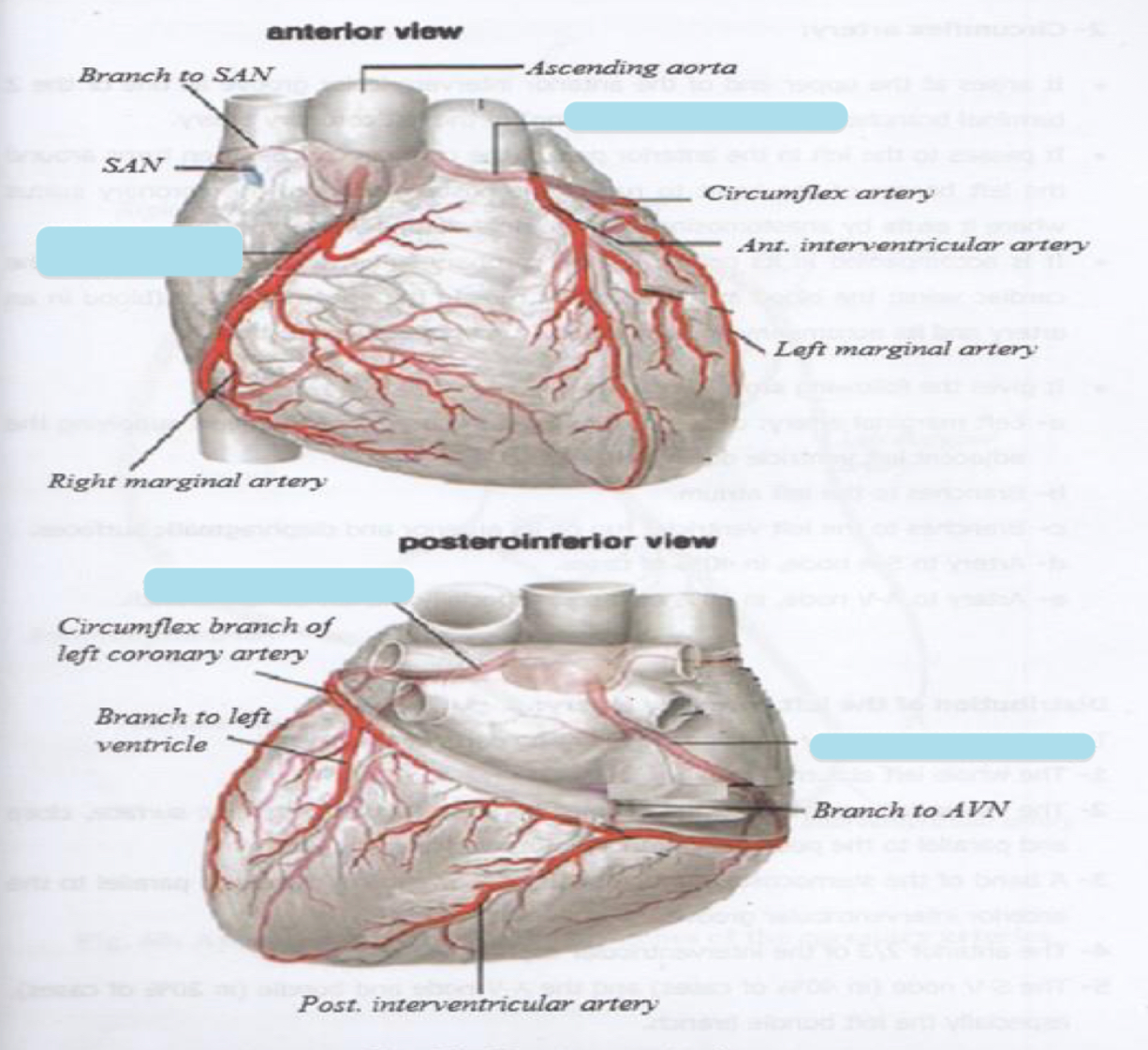 <p>Name the covered parts in the following photo</p>