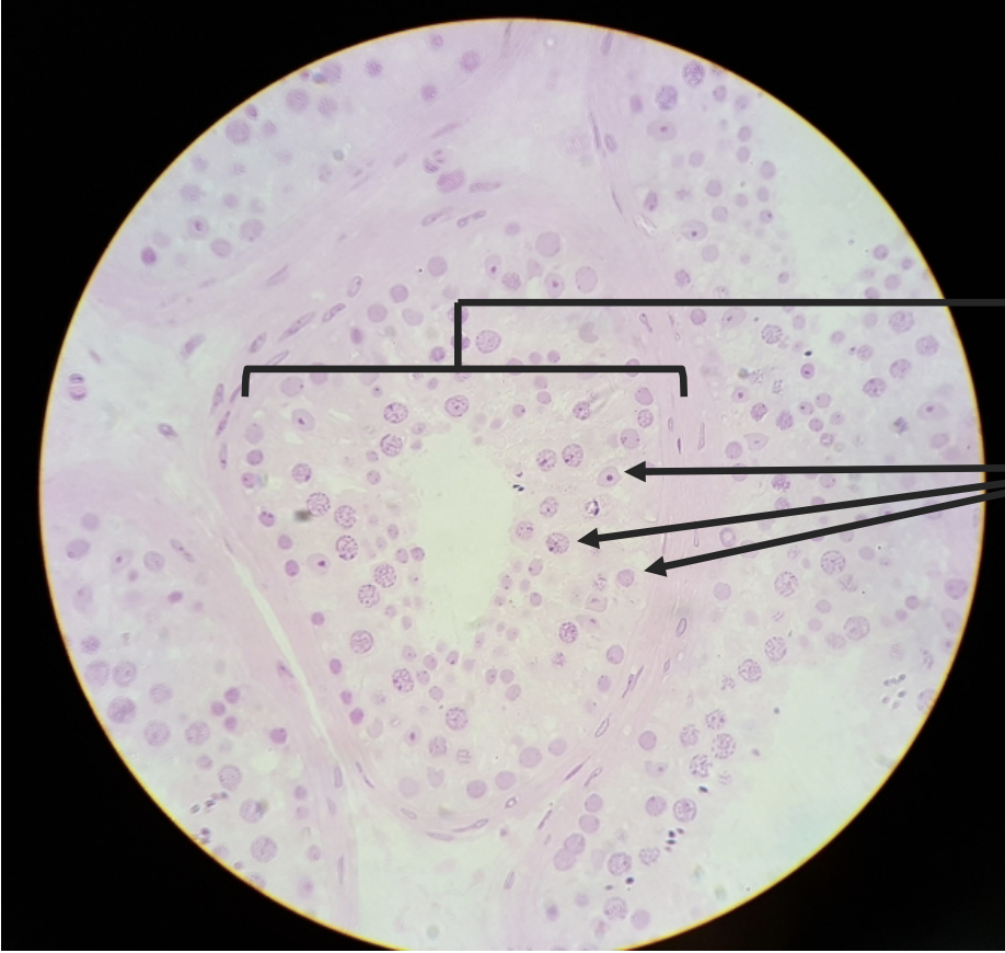 <p>what is this?</p>