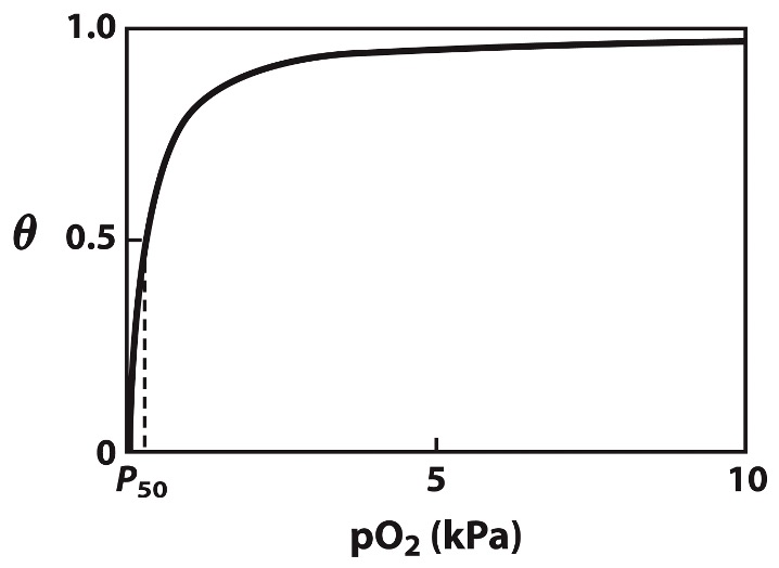 <p>the concentration of O2 is expressed as a partial pressure, pO2</p><p>instead of using Kd, p50 is the pO2 value in which half of the ligand-binding sites are occupied </p>