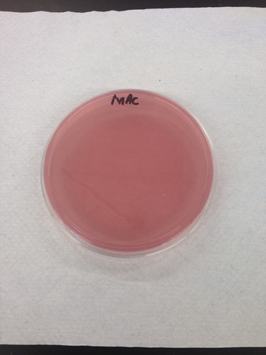 Classification of MacConkey agar (MAC)