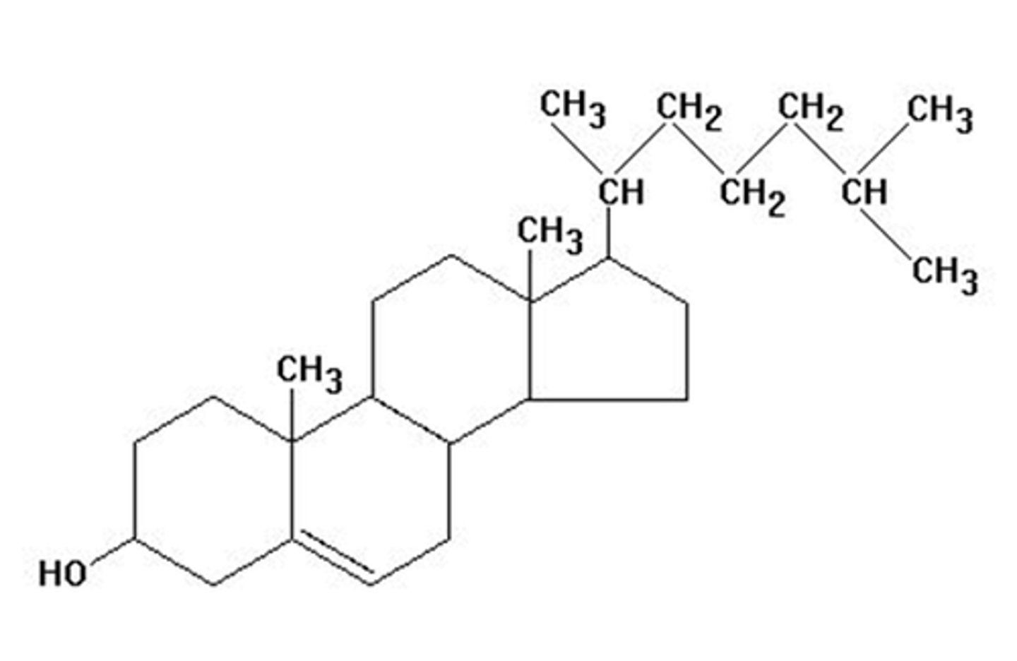 <p>Steroid common in cell membranes, also in many hormones.</p>