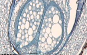 <p>what is the line pointing at</p>