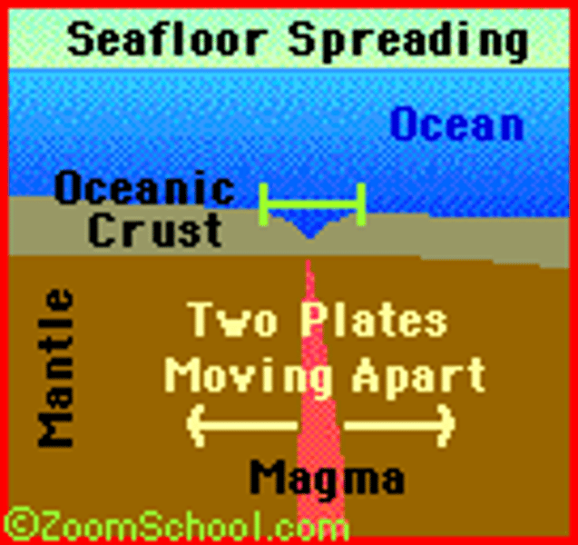 <p>Seafloor spreading supports Wegener's hypothesis because it explains _______________.</p>