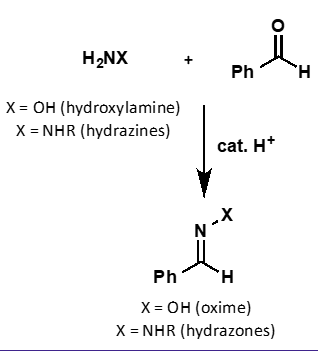 <p>what is the mechanism?`</p>