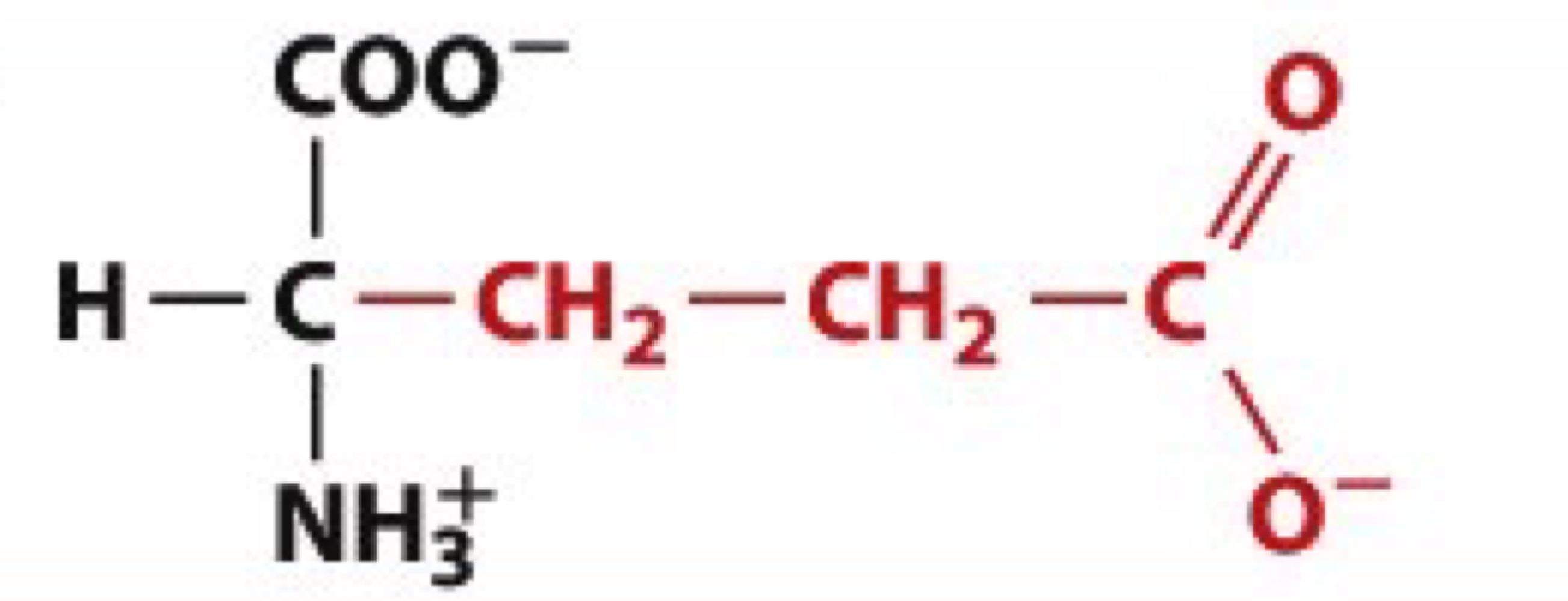 <ul><li><p>Glu, E</p></li><li><p>charged polar</p></li></ul><p></p>