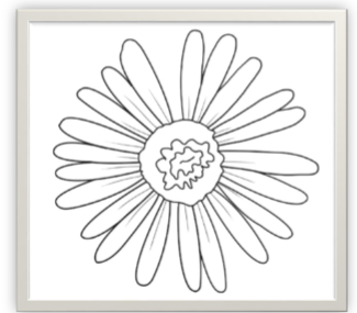 <p>identify the flower and the number of its petals</p>
