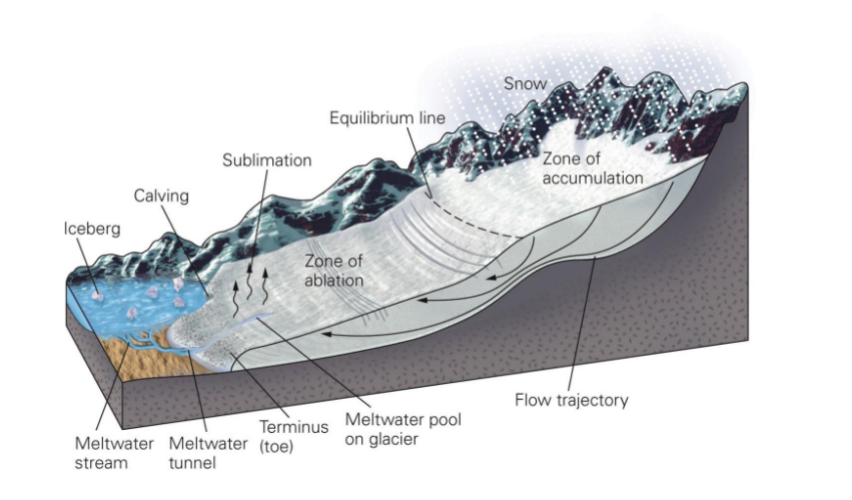 <ul><li><p>balance on accumulation and loss</p></li><li><p>growth/accumulation at high elevation: snowfall</p></li><li><p>loss/ablation at low elevation: melting/calving/sublimation</p></li><li><p>flow: from high to low</p></li><li><p>retreat/advance of glaciers happens at the toe of the glacier NOT at the origin</p></li></ul>