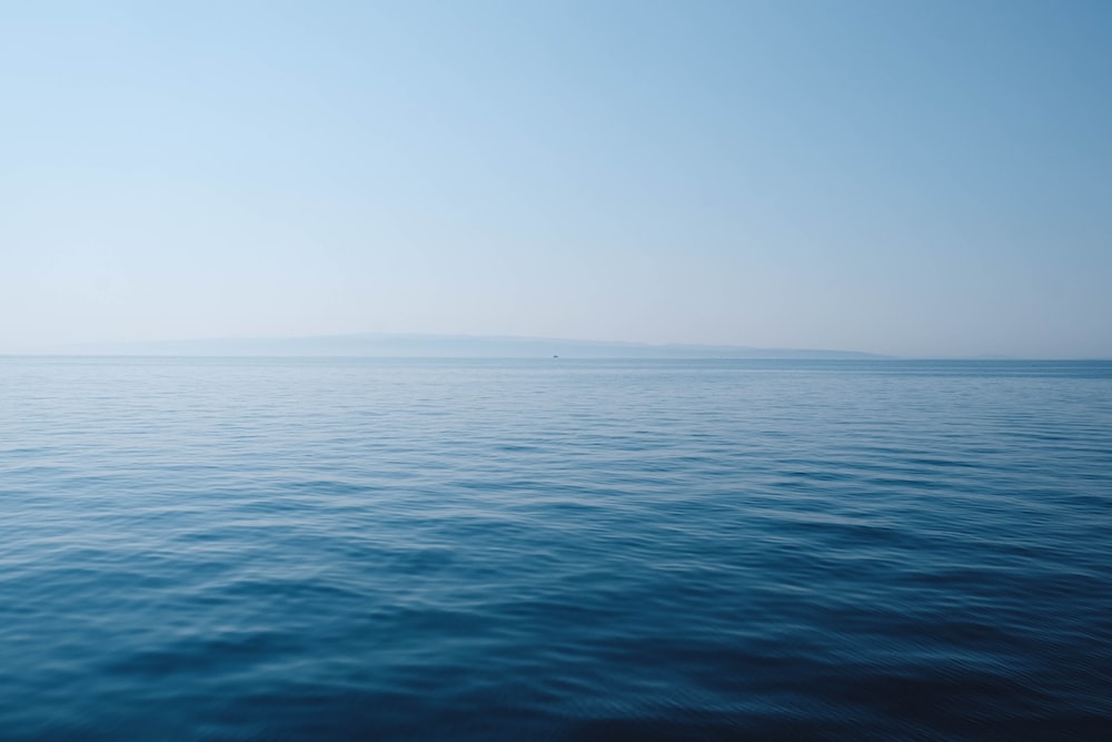  \n Showing no activity; dull or sluggish