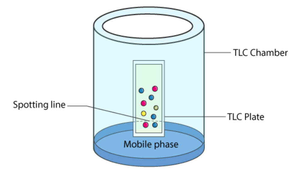 <p>Chromatography experiment similar to paper chromatography but is designed to separate molecules faster. It is commonly used in labs to clearly distinguish every different part of the mixture in question.</p>