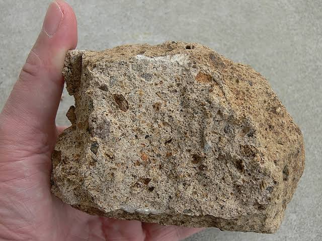 <p>Identify the igneous rock</p>