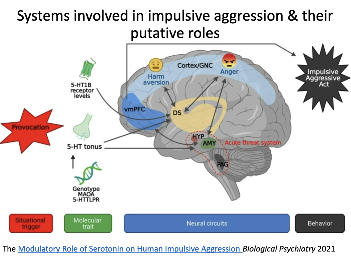 <p>Maybe memorize?</p>