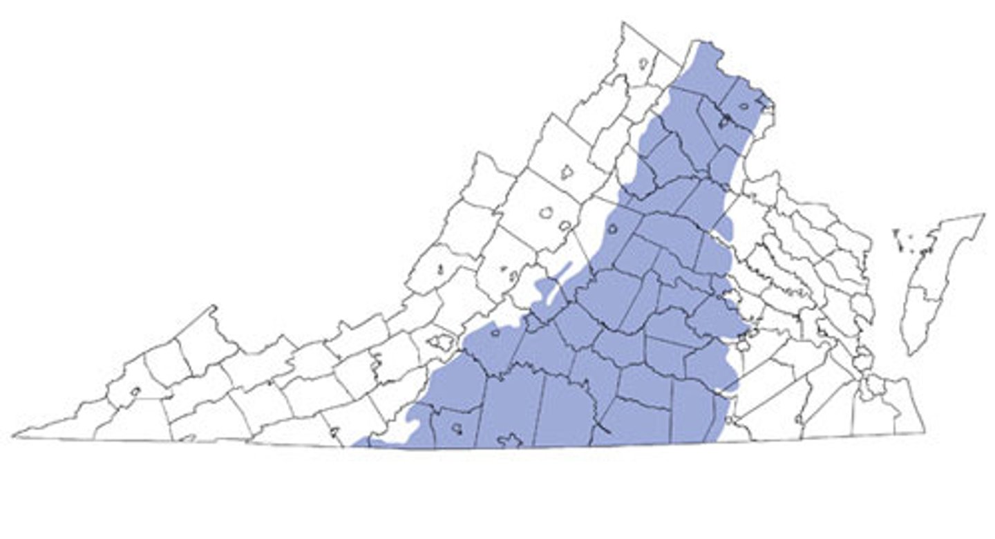 <p>This language was spoken by tribes in the Piedmont Region between the fall line and the Blue Ridge Mountains.</p>