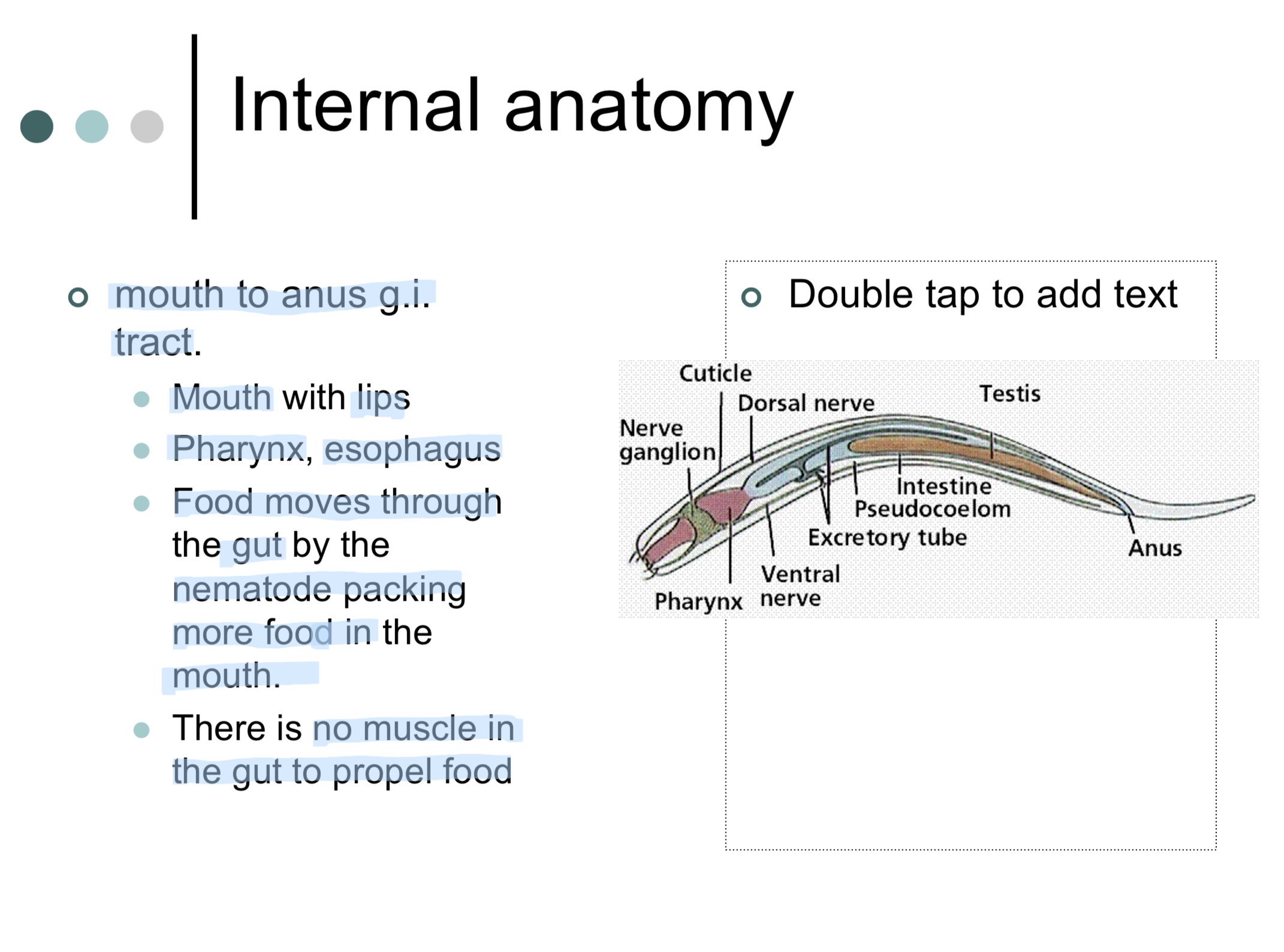 knowt flashcard image