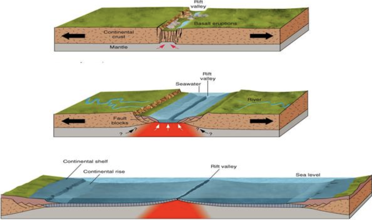 <p>are regions where two tectonic plates move away from each other, typically resulting in the formation of new crust, mid-ocean ridges, and volcanic activity. </p>