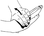 <p>This isometric wrist exercise is called what?</p>