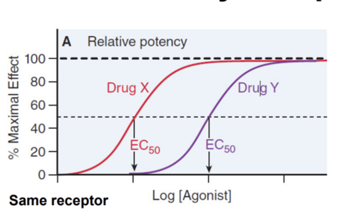 <p>in terms of efficacy, they are equivalent</p>