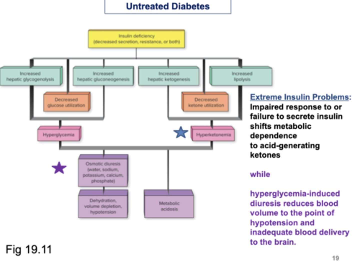 <p>☆ Extreme Insulin Problems:</p><p>- Impaired response to or failure to secrete insulin shifts metabolic dependence to acid-generating ketones</p><p>WHILE</p><p>- hyperglycemia-induced diuresis reduces blood volume to the point of hypotension and inadequate blood delivery to the brain </p>