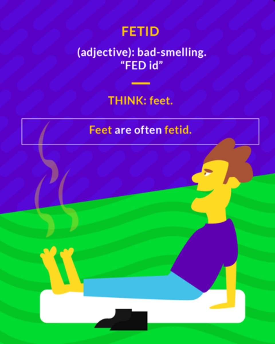 <p>having a foul odor</p><p>(adj.) bad-smelling</p>