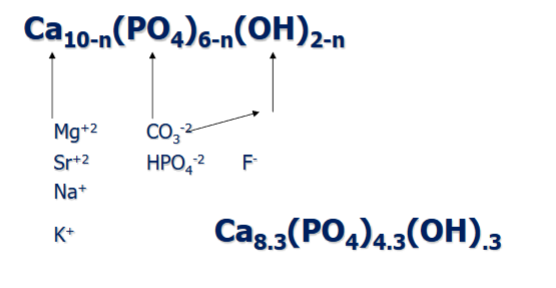 <p>-mineral is an imperfect microcrystalline analogue of geologic hydroxyapatite</p><p>-F substituting for hydroxyl ion in hydroxyl column- F fits inside plane of triangle → more stable configuration</p><p>-carbonate (triangular) substituting for either phosphate (pyramidal) or hydroxyl ions → poor fit and thus strain in atomic arrangement</p><p>-Pb substituting for Ca ion- poisonous for mineral and individual (lost to mineral homeostasis)</p>