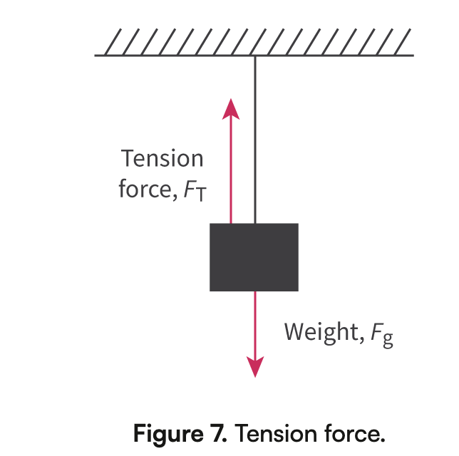 <p>Same magnitude but opposite direction of the applied force</p><p><strong>F<sub>t</sub>= mg × ma</strong></p>