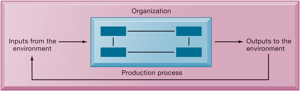 <p>An organization is a stable, formal structure that takes resources from the environment and processes them to produce outputs. Three elements define it: </p><ol><li><p><strong>Capital &amp; Labor</strong> - primary production factors provided by the environment.</p></li><li><p><strong>The Firm</strong> transforms inputs into outputs.</p></li><li><p>The environment consumes <strong>products/ services</strong>, inputs are received, and the cycle begins again. </p></li></ol><p></p>