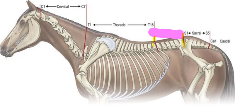 <p>6</p>