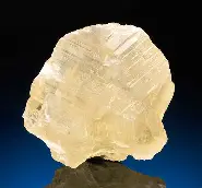 <p>#30</p>