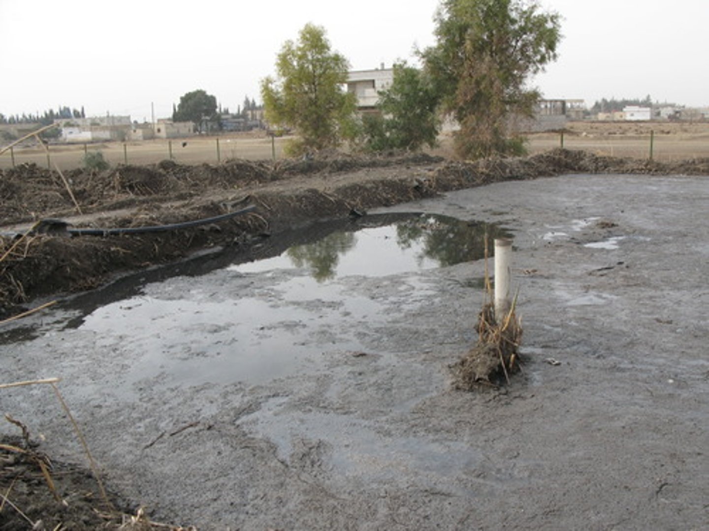<p>Solid waste material from wastewater.</p>