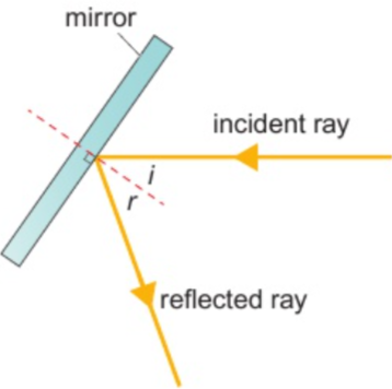 <p>angle of incidence = angle of reflection (law of reflection)</p>