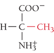 <p>Ala, A</p><ul><li><p>nonpolar</p></li></ul><p></p>